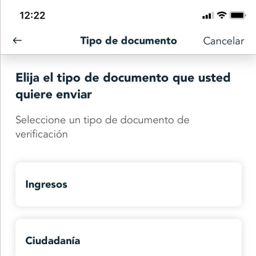 NYSOH Mobile Upload App (Spanish)